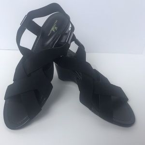 Strappy Black wedge sandal *NWT*